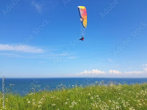 Bilde på lerret Adult paraglider near cliff along baltic sea coastline and green meadow wheat fi