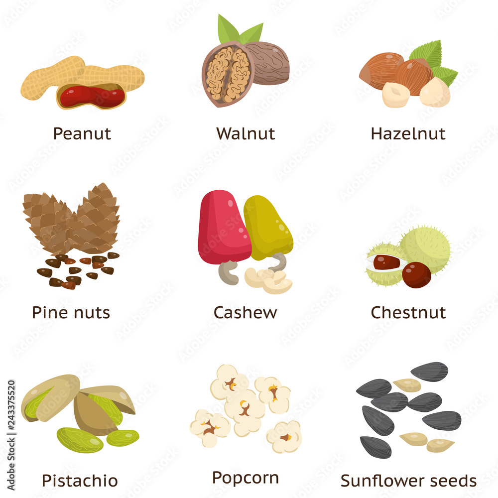 Set of different types of nuts. Sunflower seeds, hazelnuts, pistachios, macadamia, pecan, coconut and others.