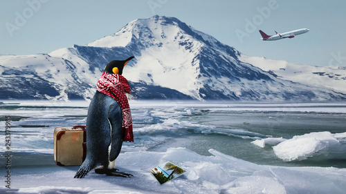 Reiselustiger Pinguin verpasst den Ferienflieger