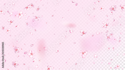 Nice Sakura Blossom Isolated Vector. Feminine Blowing 3d Petals Wedding Paper. Japanese Blooming Flowers Wallpaper. Valentine, Mother's Day Beautiful Nice Sakura Blossom Isolated on Rose