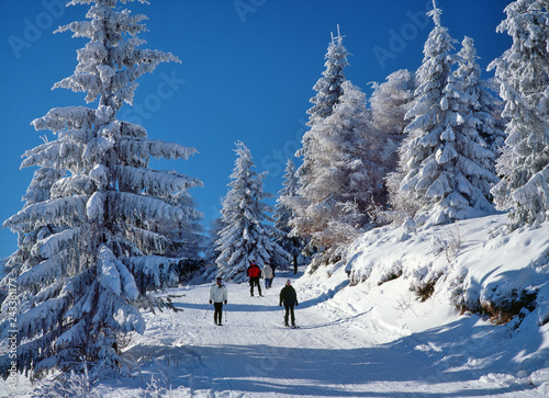 Fototapeta Naklejka Na Ścianę i Meble -  Skiers on Jaworzyna Krynicka mountain, Beskid Sadecki, Poland