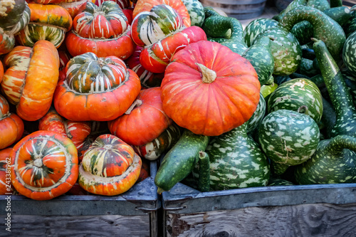 pumpkins and gourds at the market