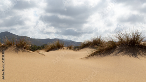 Fototapeta Naklejka Na Ścianę i Meble -  Le dune di Piscinas