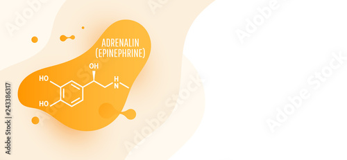 Adrenaline (adrenalin, epinephrine) molecule