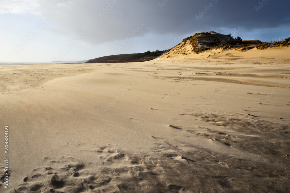 Dune and beach