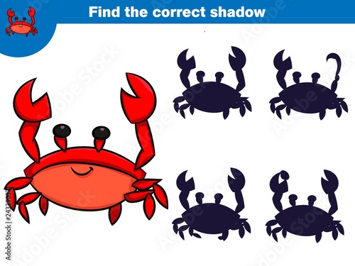 Find the correct shadow, education game for children. Set of cartoon pirate characters. Vector illustration