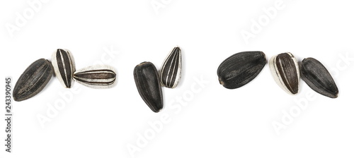 macro sunflower seeds isolated on white, top view