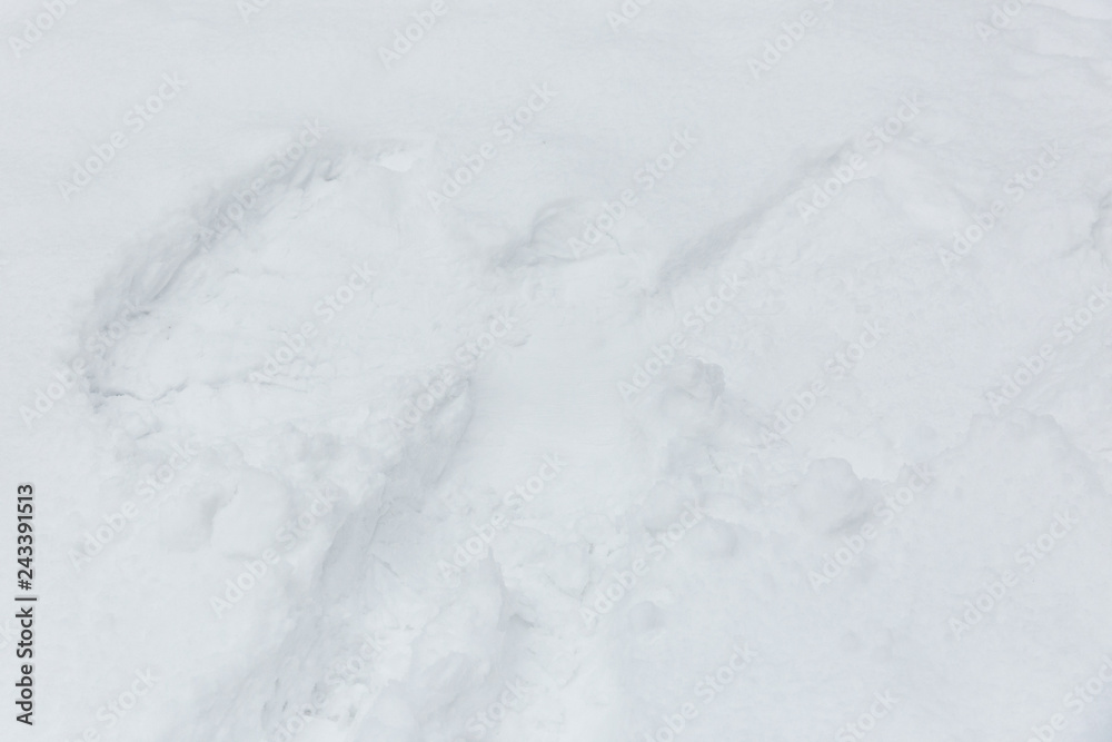 Obraz premium print of angel on the snow surface