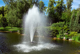 decorative pond with fountain spraying water against the background of plants and tree.
