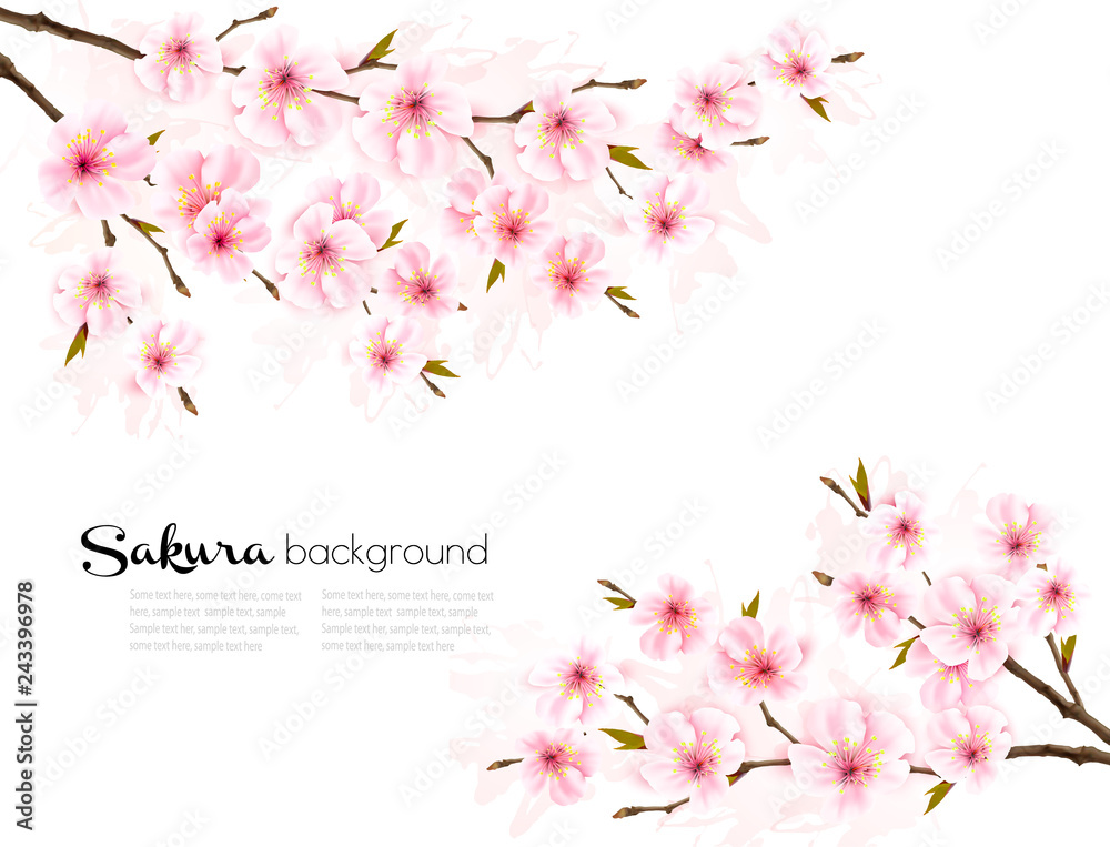 Fototapeta premium Spring background with Sakura japan cherry branch. Vector