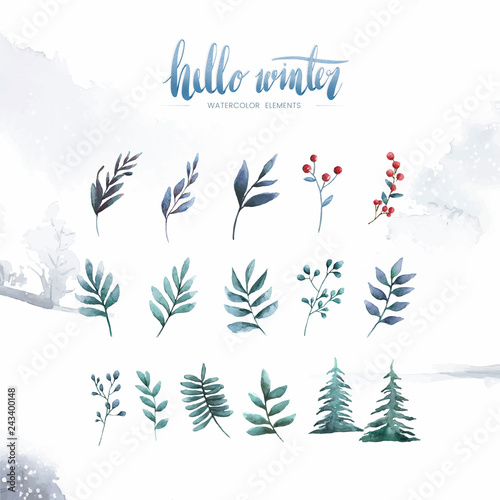 Watercolor set of winter flowers and leaves vector
