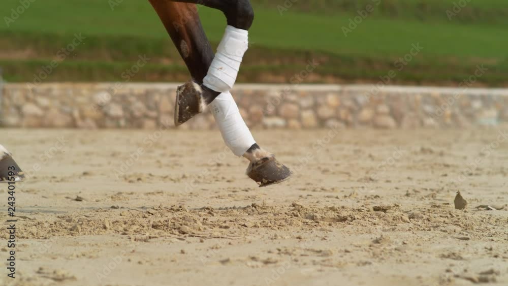 SUPER SLOW MOTION, CLOSE UP: Chestnut stallion with bandaged legs cantering in the sandy outdoor arena. Cinematic shot of brown horse's hooves digging up the sand during its gallop in the paddock.