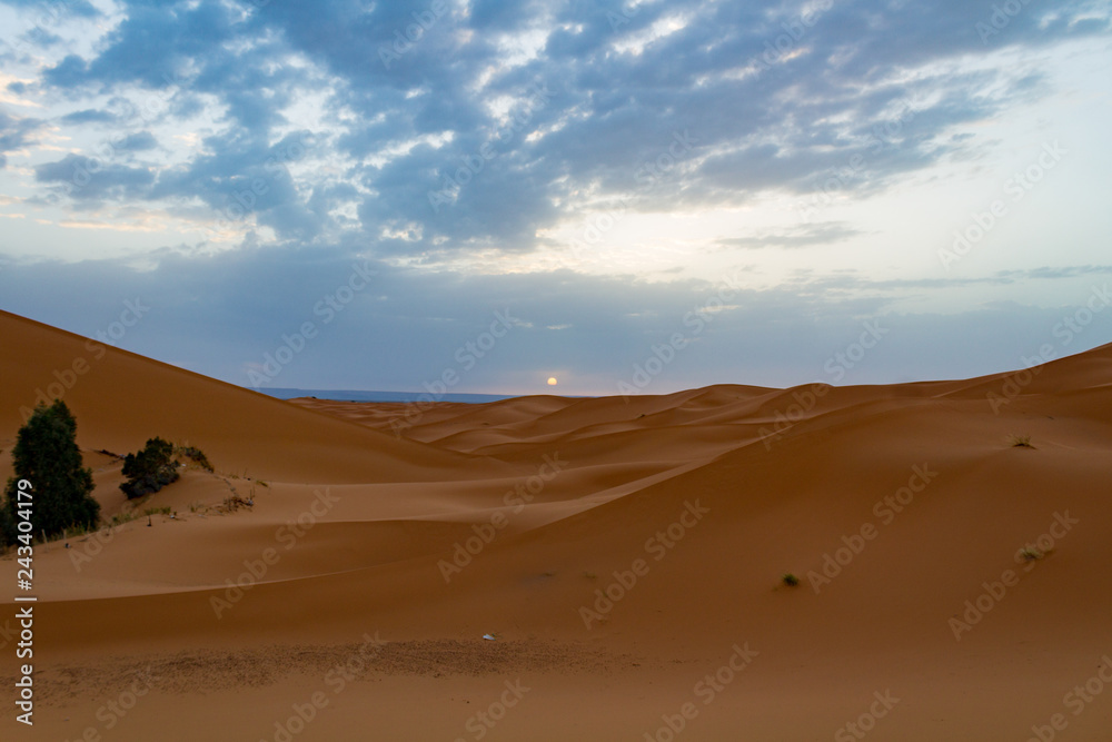 SAHARA DESERT MERZOUGA
