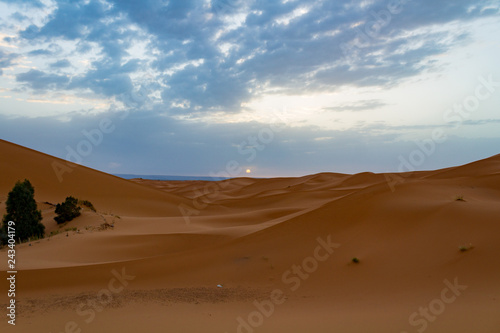 SAHARA DESERT MERZOUGA