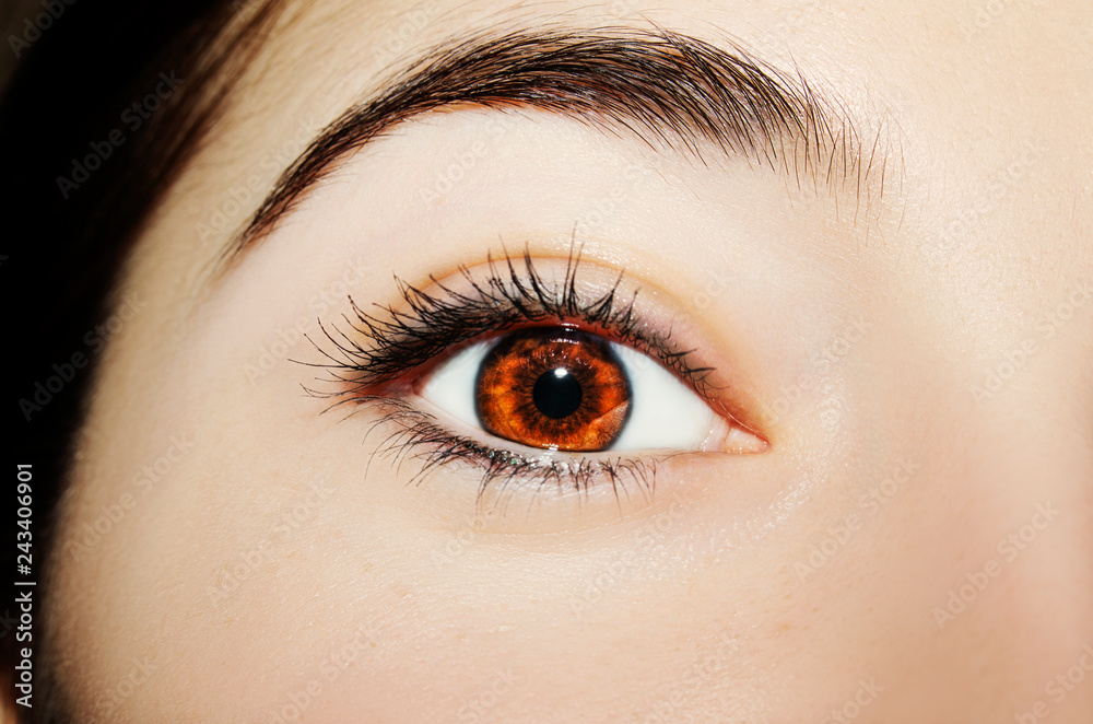 A beautiful insightful look woman's eye. Close up shot A beautiful insightful look woman's eye. Close up shot