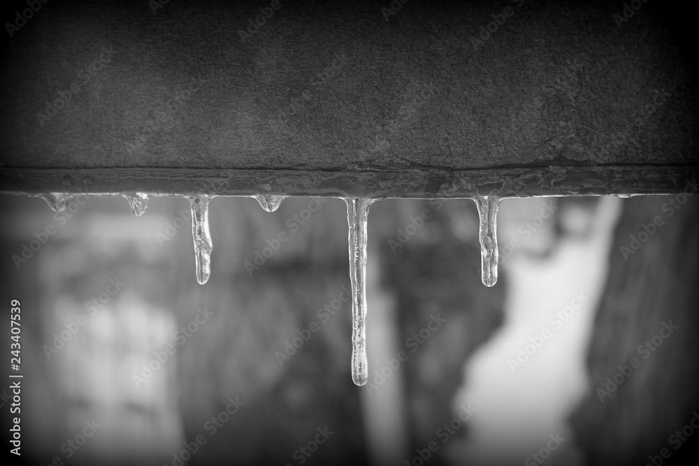 Obraz premium The Markings of Winter