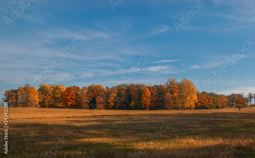 Magnificent autumn sunny landscape