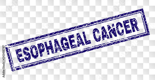 ESOPHAGEAL CANCER stamp seal print with grainy style and double framed rectangle shape. Stamp is placed on a transparent background.
