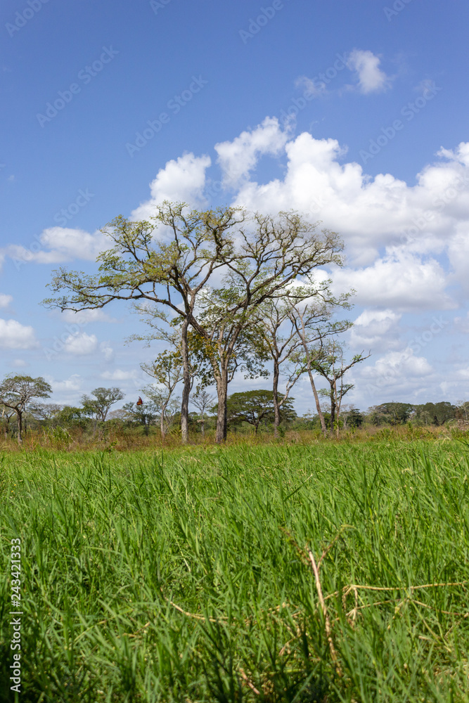 beautiful landscape in venezuela beautiful landscape in venezuela