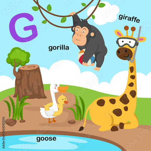 Illustration Isolated Alphabet Letter G-giraffe goose gorilla.vector