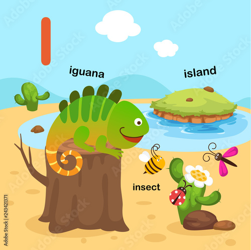 Illustration Isolated Alphabet Letter I-iguana,insect,island.vector