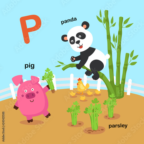 Illustration Isolated Alphabet Letter P-panda,parsley,pig.vector