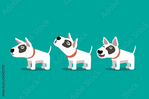 Set of vector cartoon character bull terrier dog poses for design.