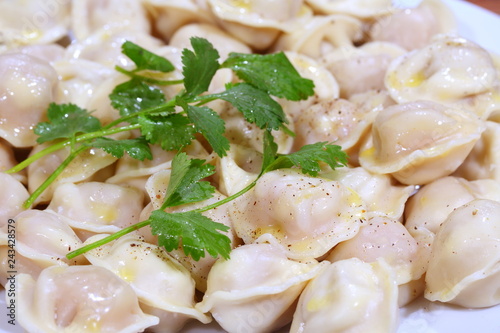 Hot Siberian dumplings with greens on a white plate