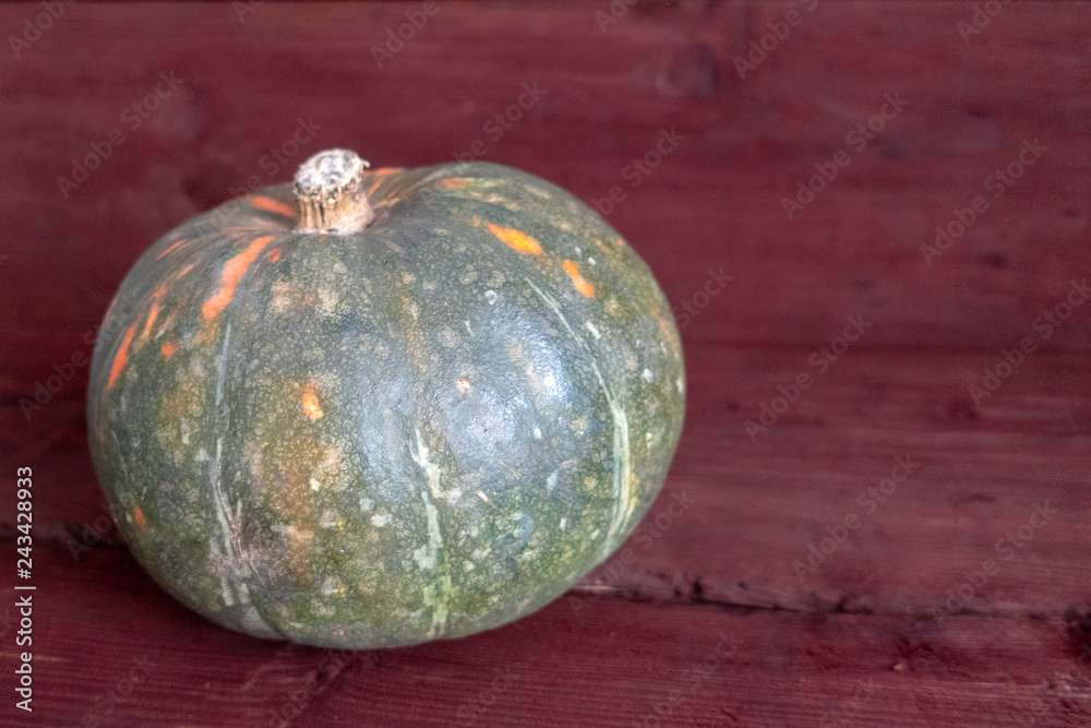Green pumpkin on a red wooden background, closeup.