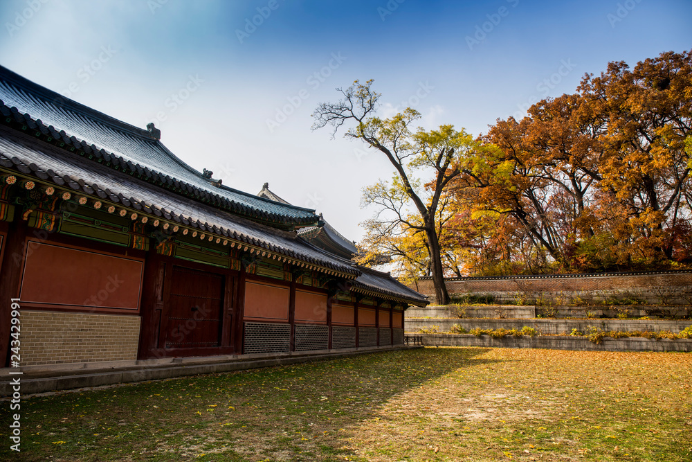 Changdeokgung Palace in Autumn in Seoul city, South Korea Changdeokgung Palace in Autumn in Seoul city, South Korea