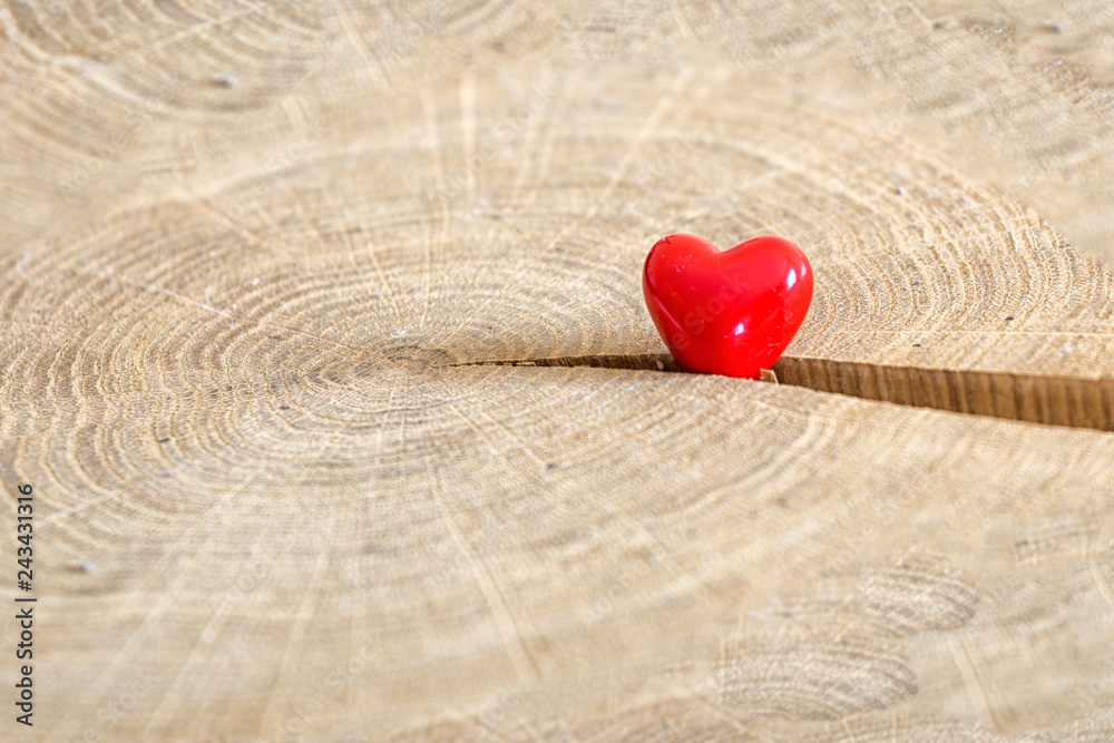 Fototapeta premium Red heart in wooden crack. Valentine day concept.