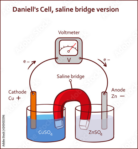 Daniell's Cell, saline bridge version vector illustration