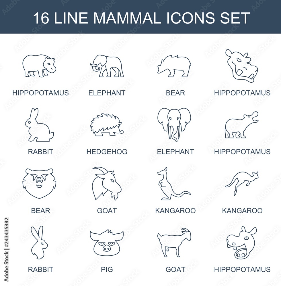 16 mammal icons 16 mammal icons