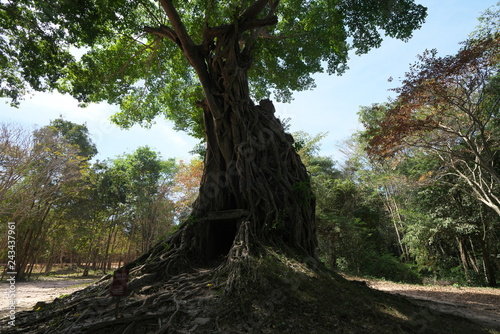 Kampong Thom, Cambodia-January 12, 2019: Prasat Chrey or N18 in Sambor Prei Kuk in Cambodia photo