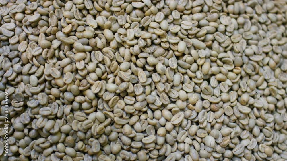 Full frame shot of picked unroasted coffee beans
