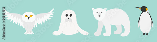 White bear, owl, king penguin Emperor Aptenodytes Patagonicus, Seal pup baby harp. Arctic polar animal set. Kids education cards. Flat design. Winter antarctica blue background.