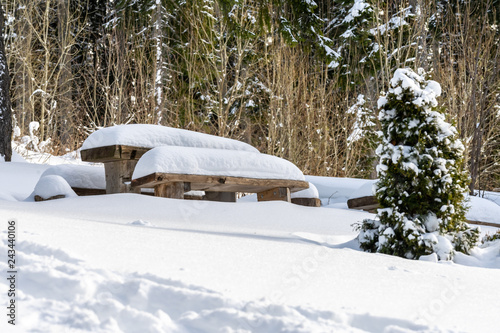 Snowy winter in the mountain. New year in the mountain. 