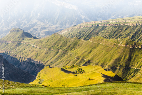 Yellow-green meadow with trees on highland plateau surrounded by canyon and Caucasus Mountains. Fantastic sunny landscape with haze on background in the morning. Dagestan Republic, Russia