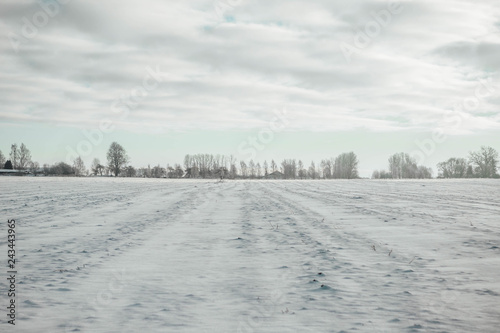 Frozen rural field, sunny winter day in countryside 