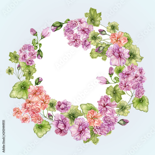 Beautiful floral frame with pelargonium flowers and leaves. Vintage botanical...