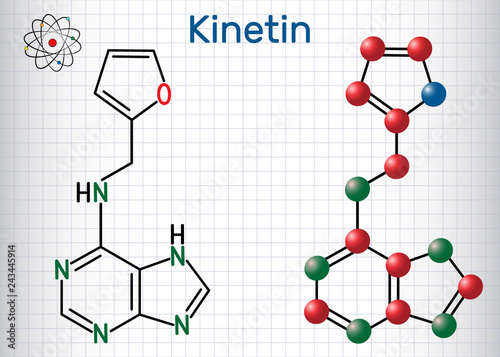 Kinetin (N6-furfuryladenine) molecule. It is plant hormone.Structural chemical formula and molecule model. Sheet of paper in a cage