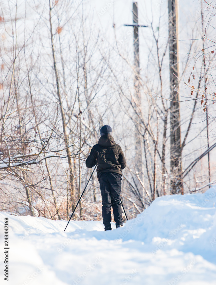 skier in the winter forest