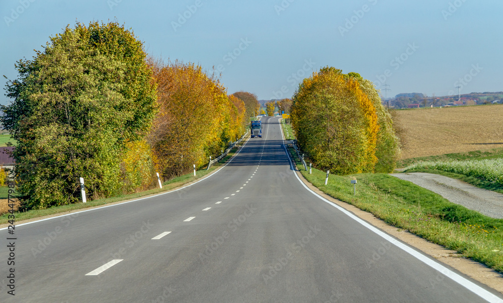 Fototapeta premium street at autumn time