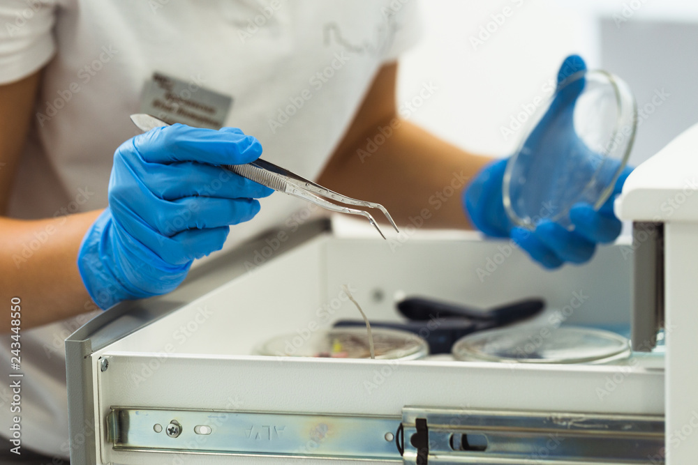 Young female dentist working in dental office. Young female dentist working in dental office.