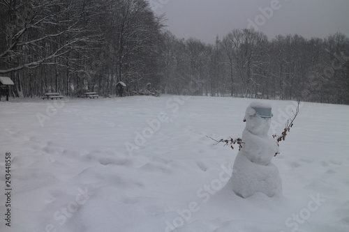 Snowman on meadow near Lesanka hut on Kačín, Bratislava, Slovakia photo