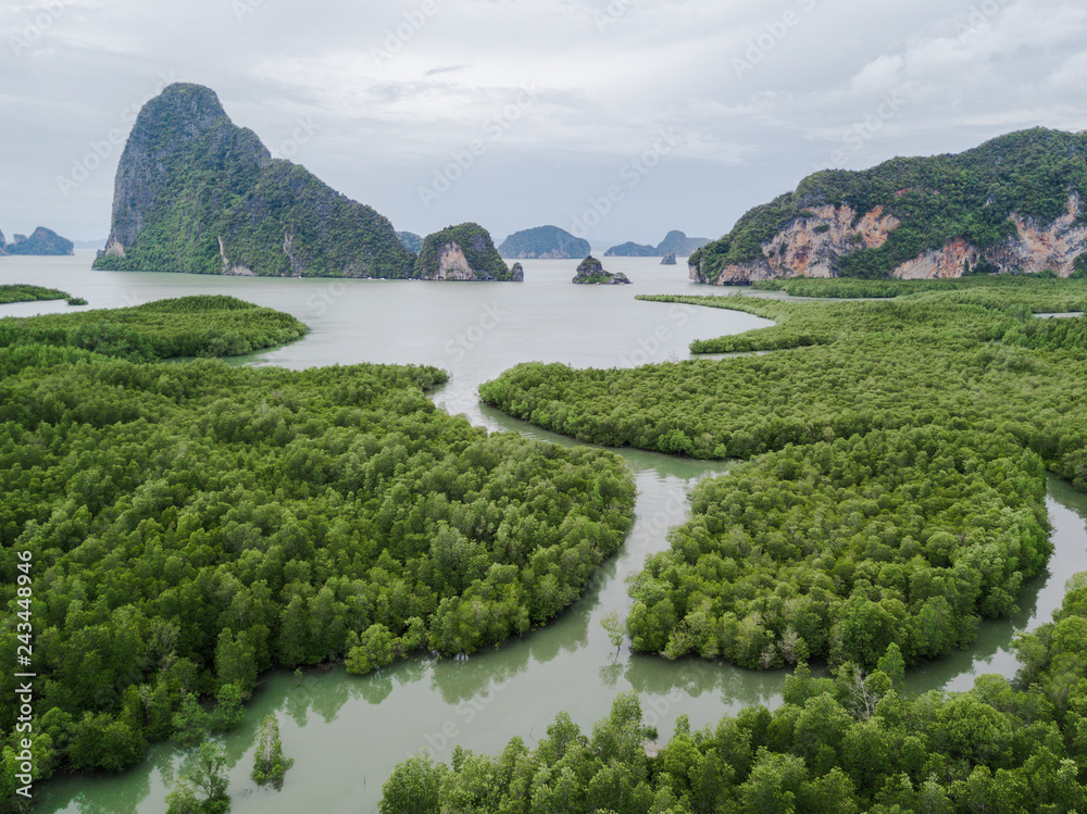 River Mouth Alongside Dense Green Forest Leading to Phang Nga Bay, Thailand