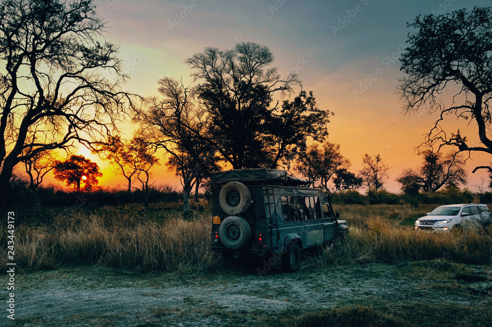 Fototapeta premium Alter und neuer Geländewagen im Abendrot in der Wildnis des Okavangodeltas, Xakanaxa, Moremi Nationalpark, Botswana