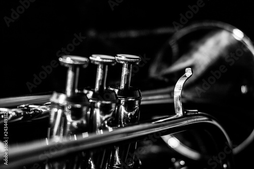 Classic musical cornet of black and white.