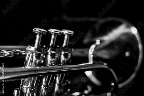 Classic musical cornet of black and white. photo