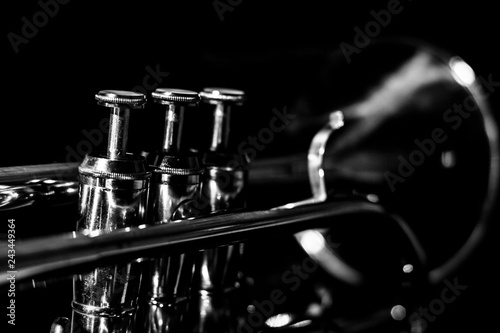 Classic musical cornet of black and white.